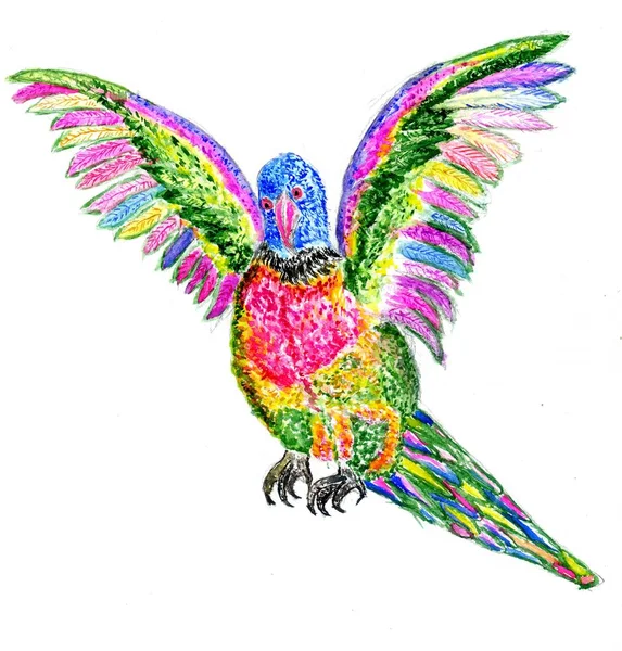 Arte del pappagallo del fumetto — Foto Stock