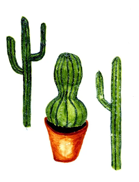 Zielony Kaktus sztuki — Zdjęcie stockowe