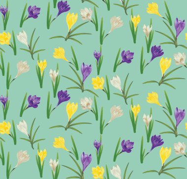 renkli bitkisi çiçeği.