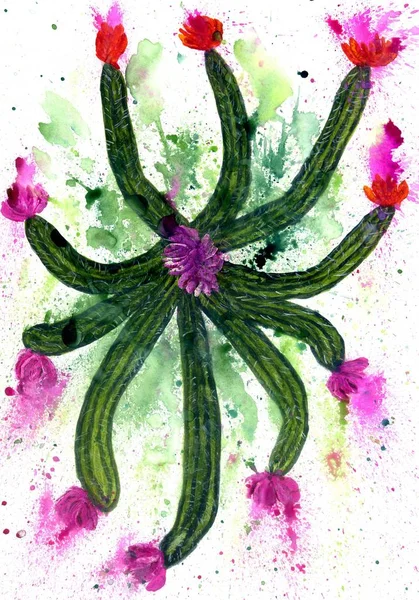 Green Cactus Art — Stock Photo, Image