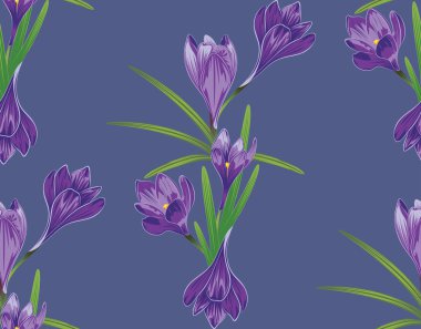 mor kır çiçekleri