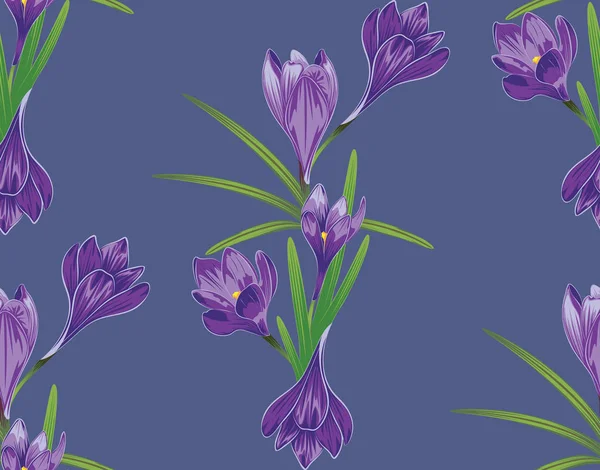 mor kır çiçekleri