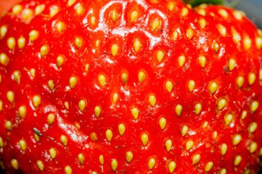 taze kırmızı çilek