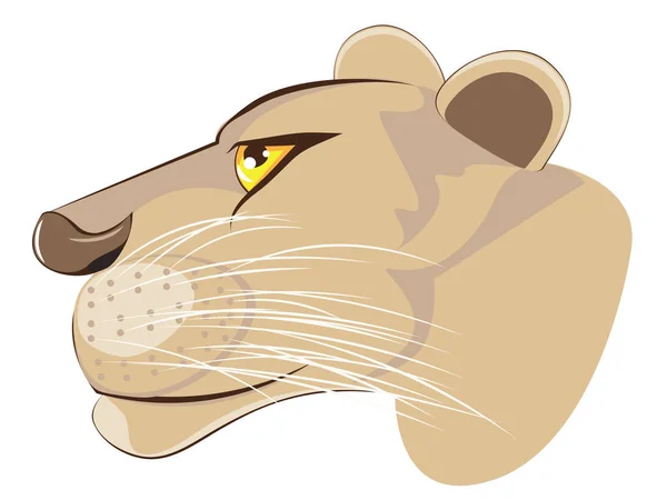 Aranyos oroszlán fej — Stock Vector