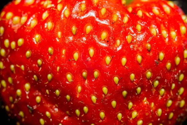 新鮮な赤いいちご — ストック写真
