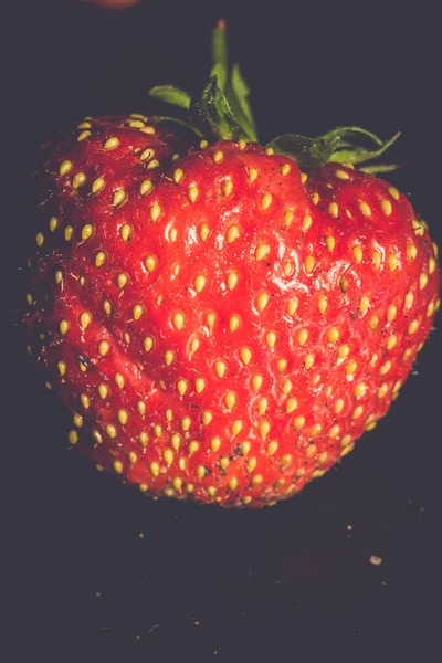 신선한 붉은 딸기 레트로 — 스톡 사진