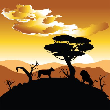 Aslan ile Afrika günbatımı