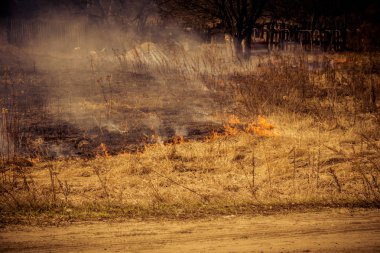 Kuru ot filtre yandı