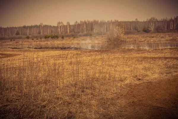 Hierba seca quemada filtrada — Foto de Stock