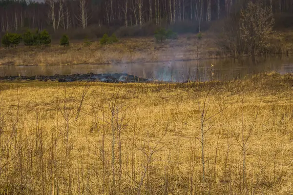 Burned Dry Grass — Stock Photo, Image