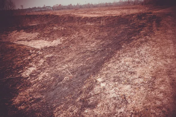 Verbranntes Gras auf dem Feld — Stockfoto