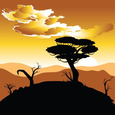 Afrika günbatımı manzara