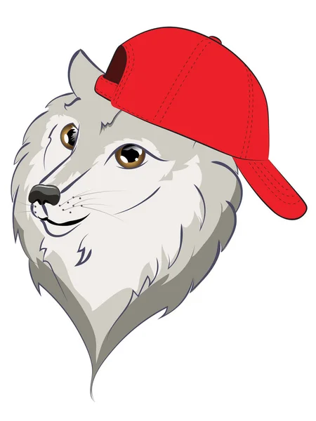 Loup en casquette de baseball — Image vectorielle