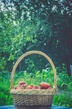 Çilek sepeti çim Retro üzerinde
