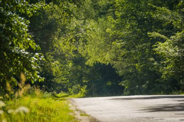 Güneşli kırık kırsal yol