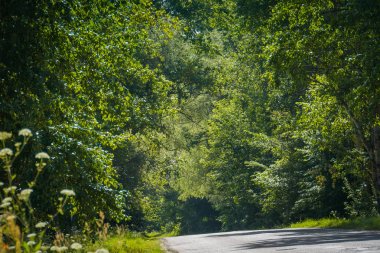 Güneşli kırık kırsal yol