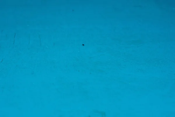 Legno tinto blu — Foto Stock