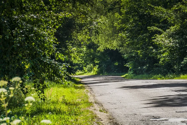 Güneşli kırık kırsal yol