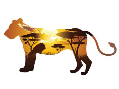 Aslan ile Afrika günbatımı