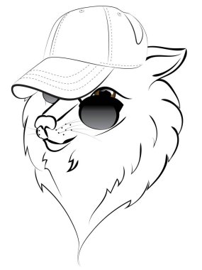 Beyzbol şapkalı kurt