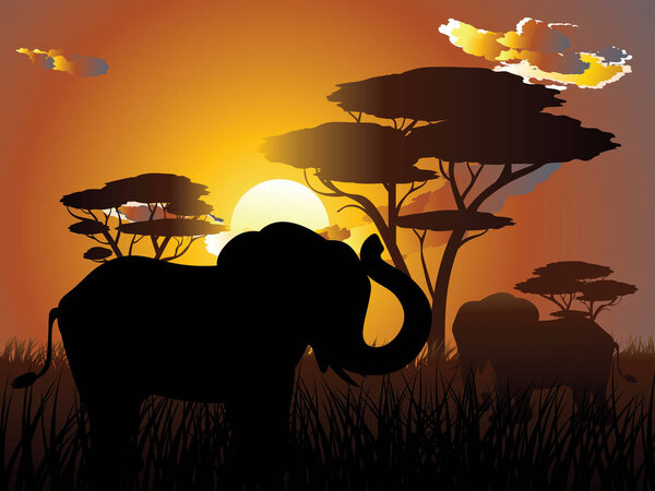 Африканский закат со слоном
