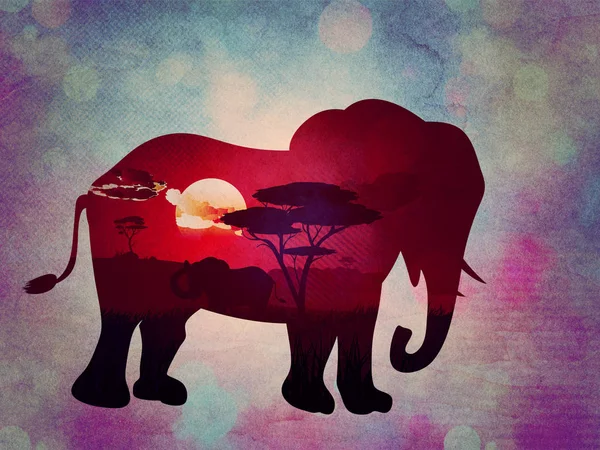Tramonto africano con Elephant Grunge — Foto Stock