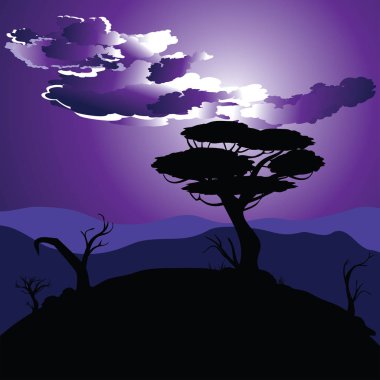 Afrika gece manzarası