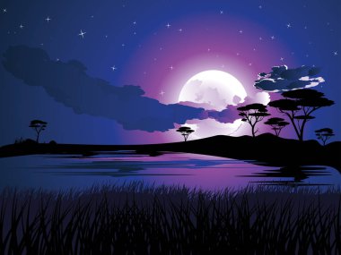 Afrika gece manzarası