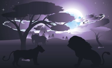 Aslan ile Afrika gecelerinde