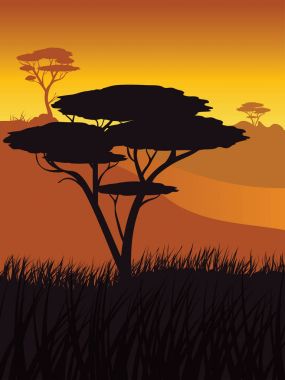 Afrika günbatımı manzara