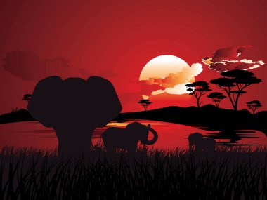 Fil ile Afrika günbatımı