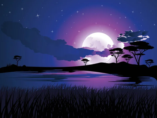 Paysage nocturne africain — Image vectorielle