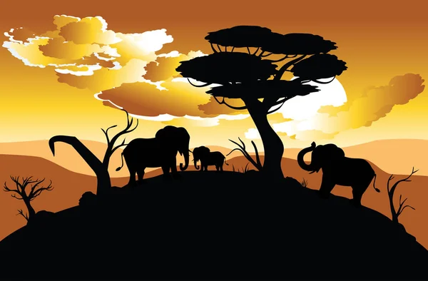 Pôr do sol africano com elefante — Vetor de Stock