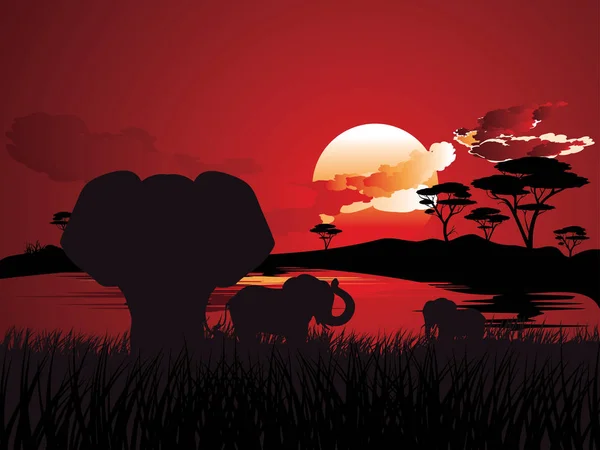 Sunset Afrika dengan Gajah - Stok Vektor