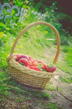 Çilek sepeti çim Retro üzerinde