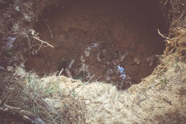 Ağaç kökleri ve bir çukur Retro