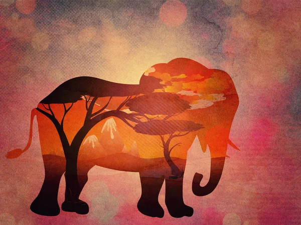 Puesta de sol africana con elefante grunge — Foto de Stock