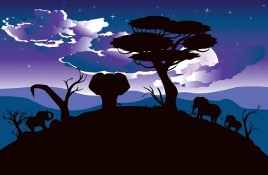 Fil ile Afrika gecelerinde