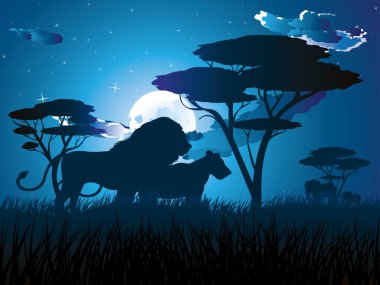 Aslan ile Afrika gecelerinde