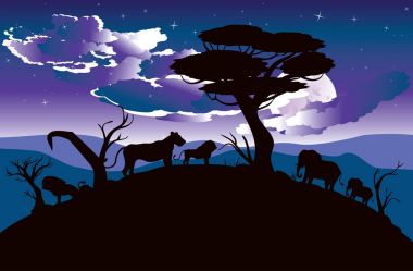 Aslan ile Afrika gecelerinde