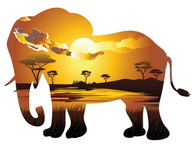 Fil ile Afrika günbatımı