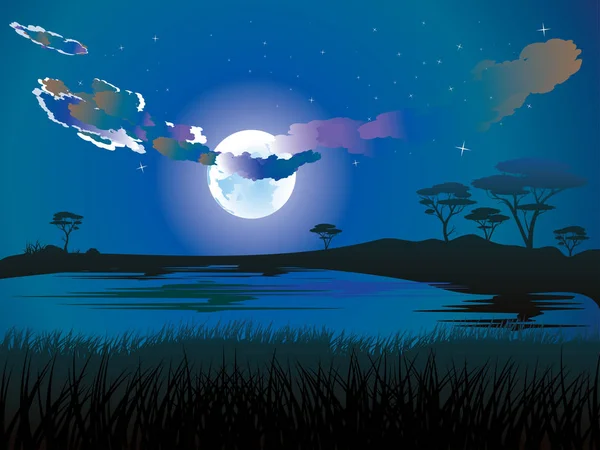 African Night Landscape — Stock Vector