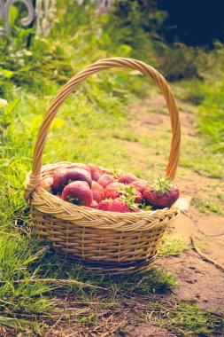 Çilek sepeti çim Retro üzerinde