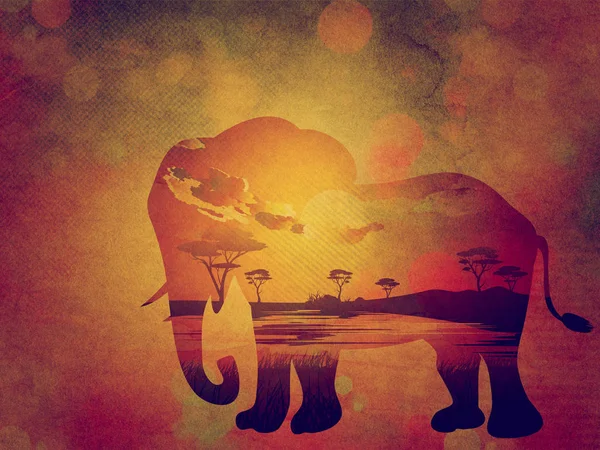 Afrikai elefánt Grunge naplemente — Stock Fotó