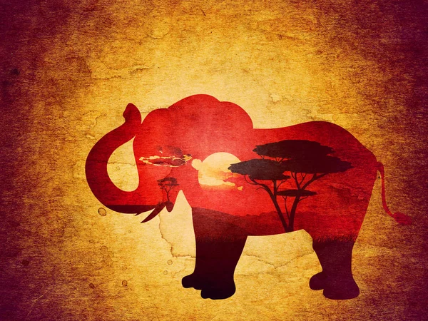 Puesta de sol africana con elefante grunge — Foto de Stock