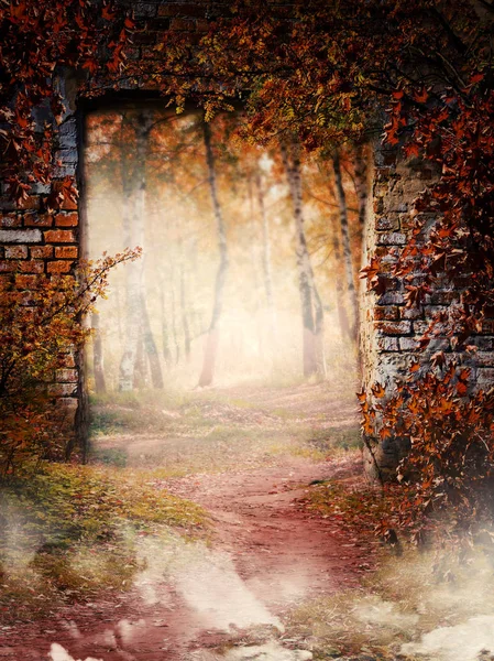 Aşırı büyümüş kırık kapı