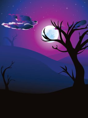 Afrika gece manzarası