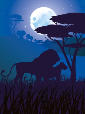 Aslan ile Afrika gecelerinde