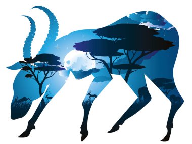 Antilop ile gece manzarası