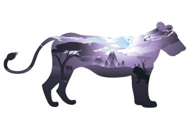 Aslan ile Afrika gecelerinde